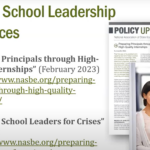 State Partnerships for Advancing School Leadership